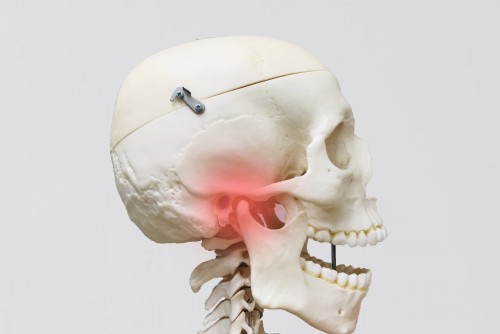 顎関節症（TMD）とは